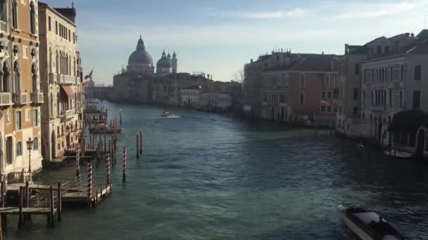 Video Footage Quality Overlooking Grand Canal Which Gondolas Float Venice — Stock Video