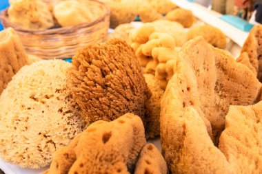 Yunanistan 'ın Symi adasındaki bir mağazanın tezgahındaki duşta yıkanmak için geniş bir doğal deniz süngeri seçimi