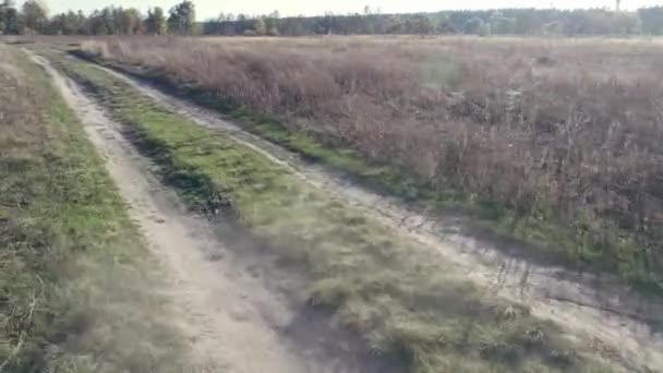 Starten Sie Die Fpv Drohne Auf Dem Feld Flugtraining Auf — Stockvideo