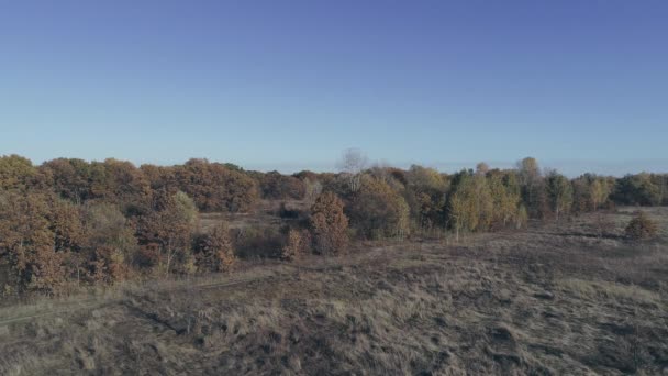 Lanceer Fpv Drone Het Veld Vliegtraining Een Sportdrone Luchtfoto Een — Stockvideo