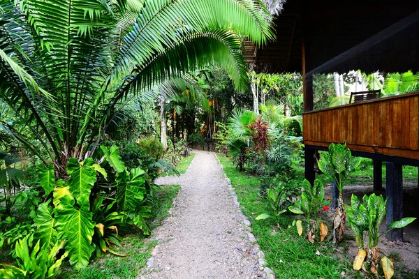 Lodge im Dschungel — Stockfoto