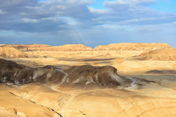 Negev deserto — Fotografia de Stock