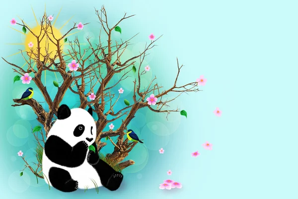 Turquoise wenskaart met panda — Stockfoto