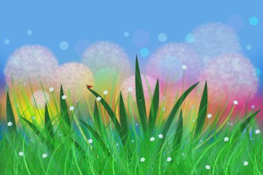 dandelions ile peri çayır