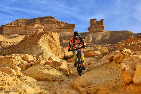 사막에서 산악 자전거 — 스톡 사진