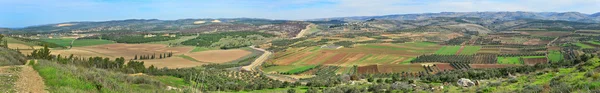 Israeli landscape panorama — Stock Photo, Image