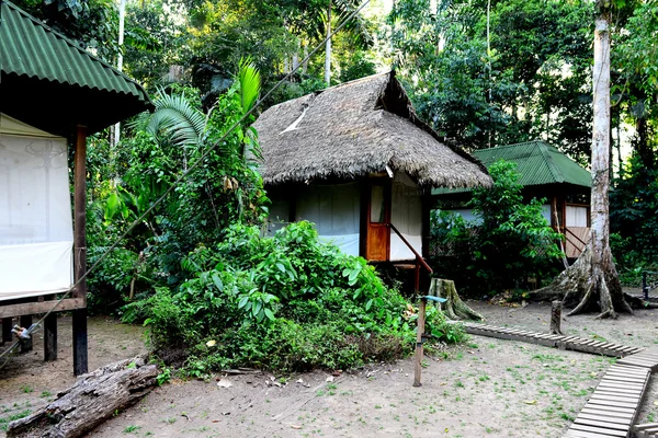 Camp in the jungles of Peru — Stock Photo, Image