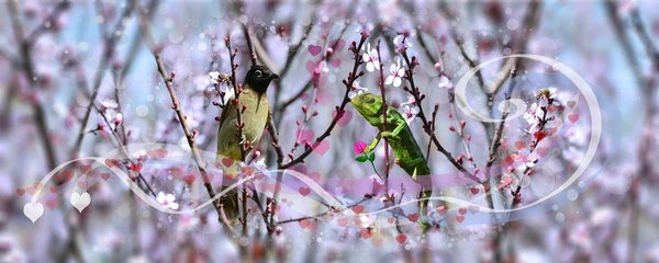 Chameleon in love — Stock Photo, Image