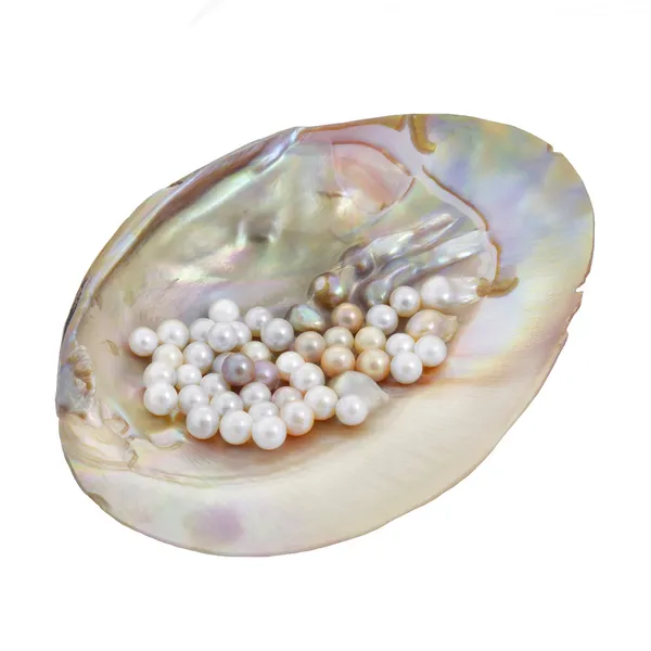 Pearls in mother of pearl — Stock Photo, Image