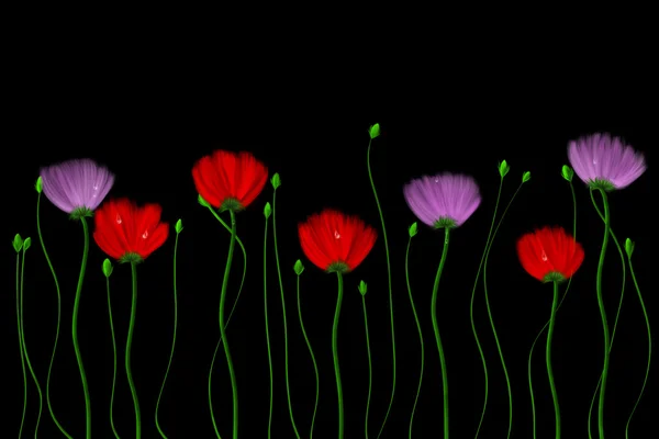 Red and pink flowers on a black background — Stock Photo, Image
