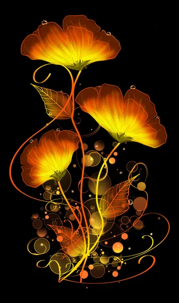 Tre fiori gialli arancioni — Foto Stock