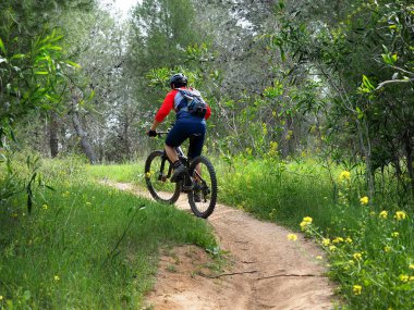 İsrail 'deki tek parça Nir Moshe' de bisikletçi. Yeşil kış zamanı.