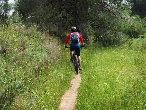 Cyclist Israeli Single Track Nir Moshe — 스톡 사진