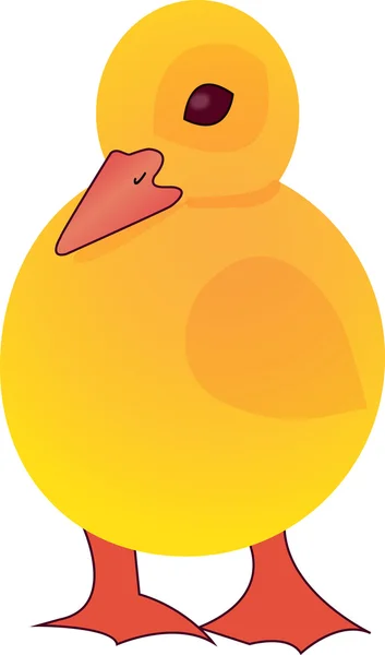 Duckling — Stock Vector