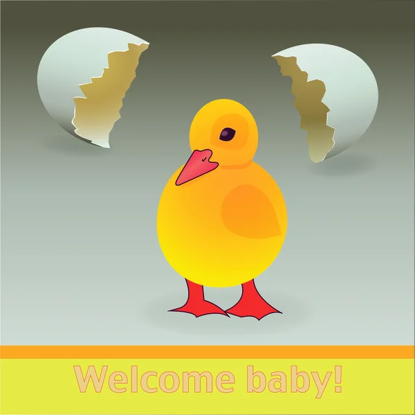 Baby shower kártya kiskacsa — Stock Vector