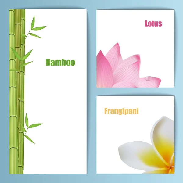 Flores tropicais exóticas layout do cartão de convite. Design de fundo para banners —  Vetores de Stock