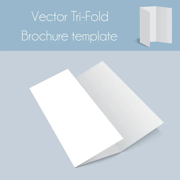 Folleto de Tri-fold & Spa & Mock Up — Vector de stock