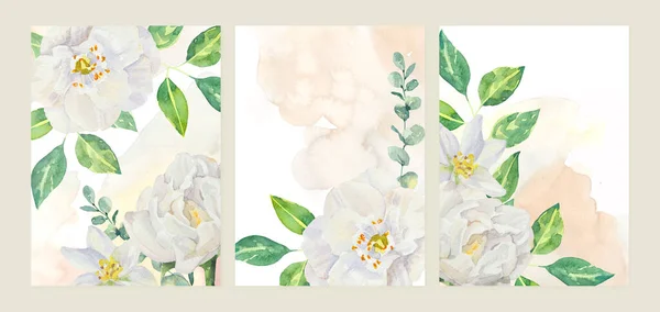 Suluboya Yasemin Dalını Çiçekleri Boyadı Suluboya Çizimleri Beyaz Arkaplanda Izole — Stok fotoğraf