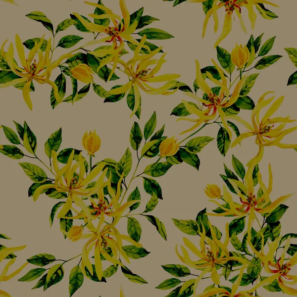 Aquarell Handbemalte Ylang Ylang Blumen Aquarell Illustrationen Auf Weißem Hintergrund — Stockfoto