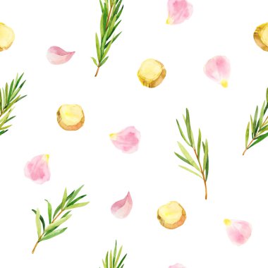 Suluboya el, biberiye dalları, zencefil ve taç yaprakları boyadı. Suluboya el kusursuz desen, duvar kağıdı, ambalaj kağıdı, aromaterapi, gerekli yağlar.