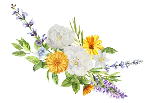 Acquerello Dipinto Mano Gelsomino Ylang Ylang Rami Salvia Fiori Illustrazione — Foto Stock