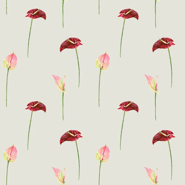 手で水彩の花花束を描いた アンスリウム花のイラスト シームレスなパターン ファブリックデザイン 包装紙 — ストック写真