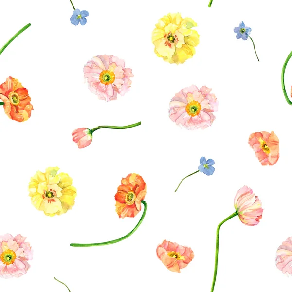 Handgemaltes Aquarell Blumenstrauß Island Mohn Eukalyptus Und Blaue Blumen Illustration — Stockfoto