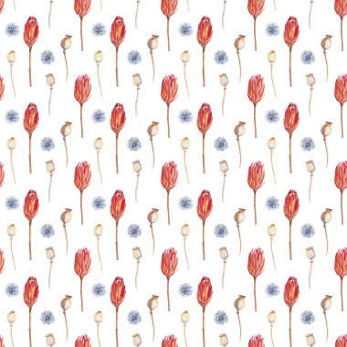 Tarla bitkileri, el boyası suluboya kuru kırmızı renkler dallara özen gösterir. Bitki, tasarım için botanik elementler. Suluboya el kusursuz desen, duvar kağıdı, ambalaj kağıdı