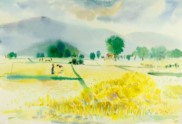 Watercolor Landscape Original Painting Colorful Rice Field Farm Farmer Nature — Zdjęcie stockowe