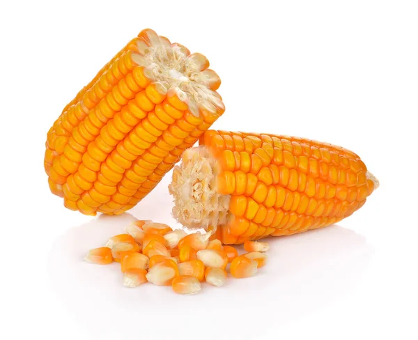 Fehérre Izolált Kukoricamagok — Stock Fotó