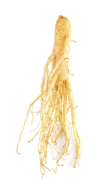 ginseng beyaz arkaplanda izole edildi