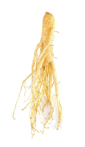 Ginseng Geïsoleerd Witte Achtergrond — Stockfoto