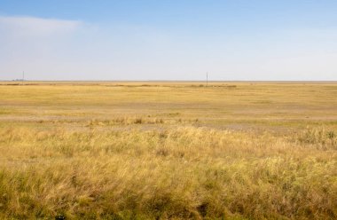 Steppe dessert and blue sky in summer day, Kazakhstan