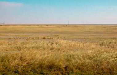 Steppe dessert and blue sky in summer day, Kazakhstan