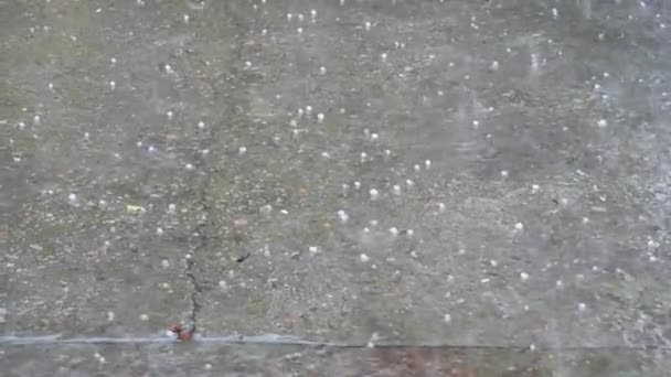 Χαλάζι Βροχή Πέφτει Στο Τσιμέντο — Αρχείο Βίντεο