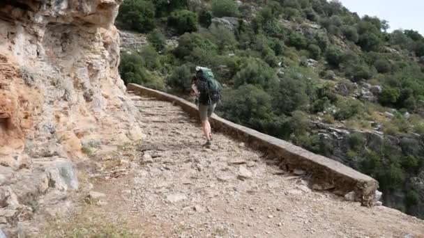 Une Touriste Avec Grand Sac Dos Promène Long Sentier Par — Video