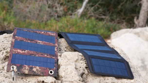 Ящерица Выползает Скалу Которой Лежат Солнечные Батареи Зеленая Безопасная Энергия — стоковое видео
