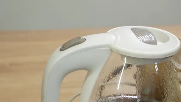 Person Presses Button Turn Water Heating Kettle — Stock Video