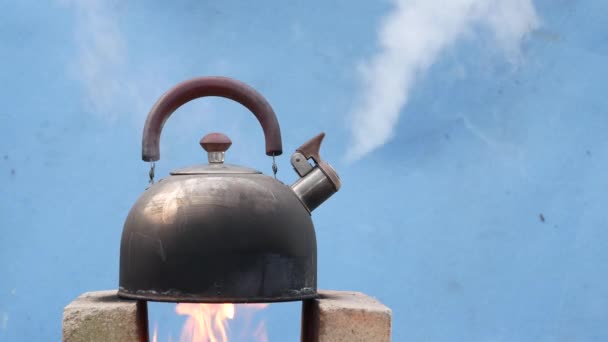 Der Wasserkocher Wird Vom Feuer Erhitzt Und Kocht — Stockvideo