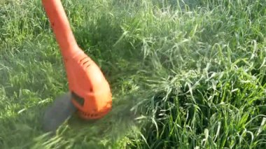 Çiğ taneli taze yeşil çimenler elektrikli çim biçme makinesiyle kesilir..