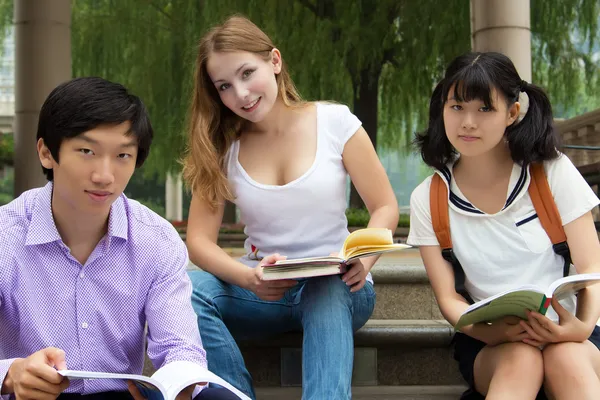 Students study at college park. Teamwork of group young teenager — Stock Photo, Image