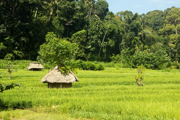 ภูมิทัศน์ของสนามสีเขียวและหมู่บ้านเล็ก ๆ — ภาพถ่ายสต็อก