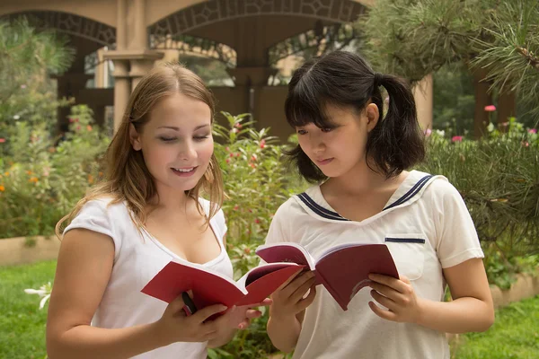 Portret młodych kobiet czytając książkę w kampusie Obrazy Stockowe bez tantiem