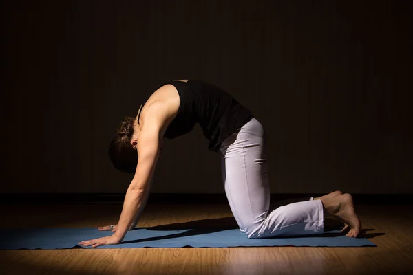 Young beautiful woman do fitness posing, yoga asanas — Stock Photo, Image