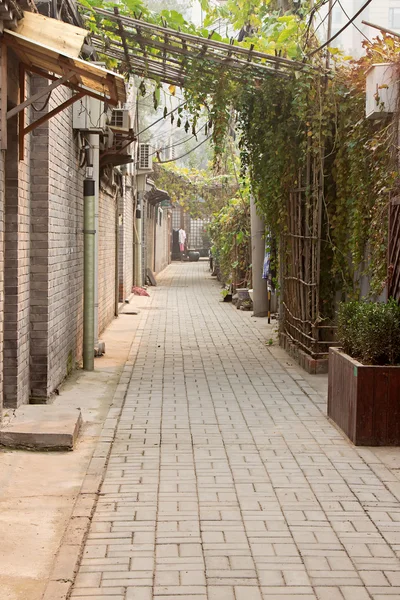 Vecchia strada con il muro di mattoni e decorazione edera Fotografia Stock