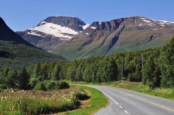 Camino en Noruega — Foto de Stock