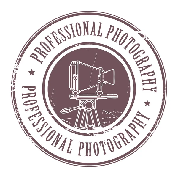 Carimbo de fotografia profissional — Vetor de Stock