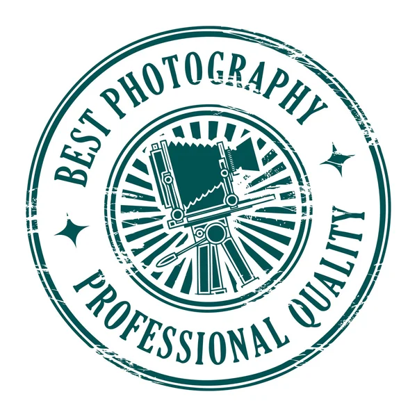 Professionele fotografie stempel — Stockvector