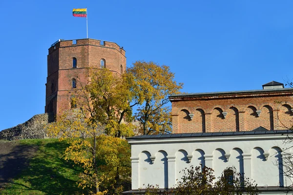 Вильнюс, Гедиминская башня — стоковое фото