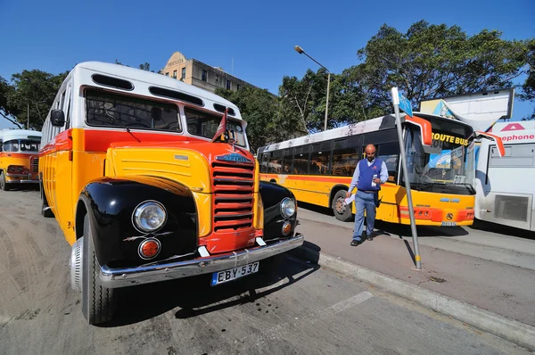 Malta halk otobüsleri — Stok fotoğraf